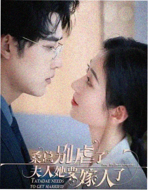 哔滴影视刑侦剧集三十七号档案封面